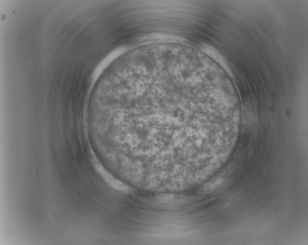 X0000075921098200610151900