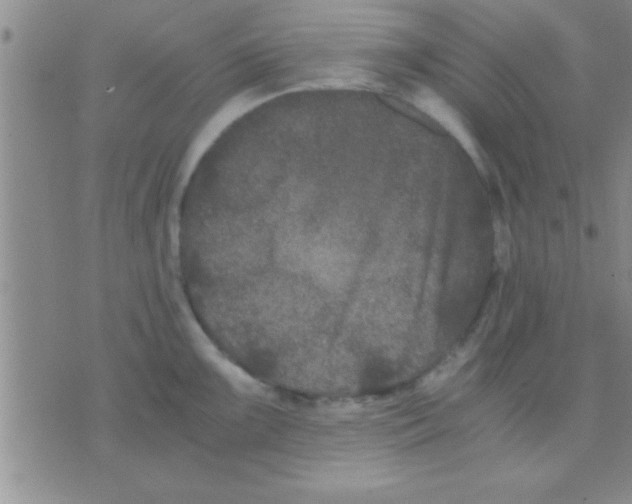 X0000075921099200610151900