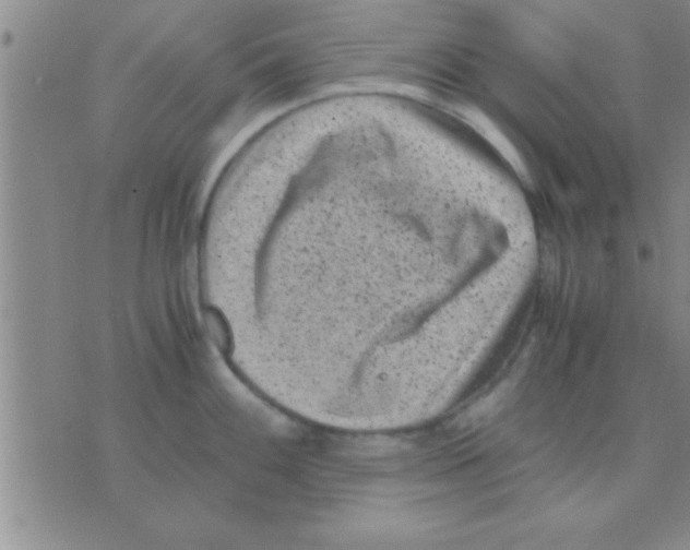 X0000075921100200610151900