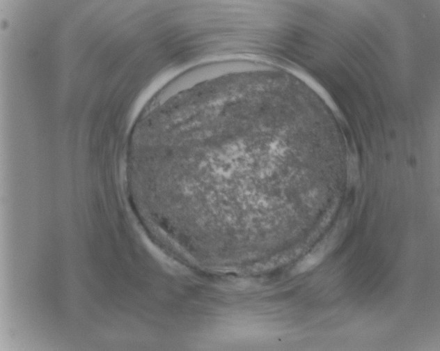 X0000075921101200610151900