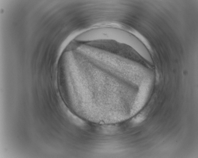 X0000075921102200610151900