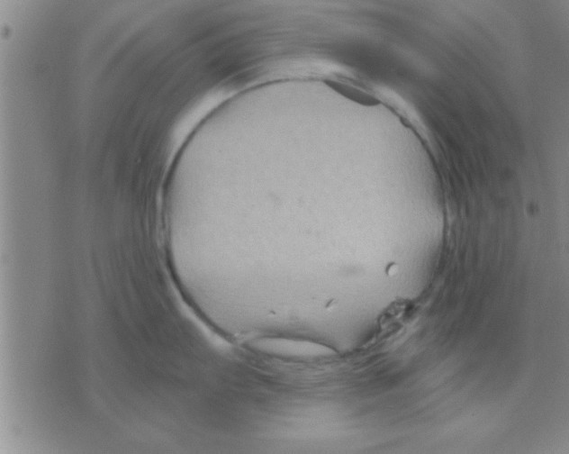 X0000075921103200610151900