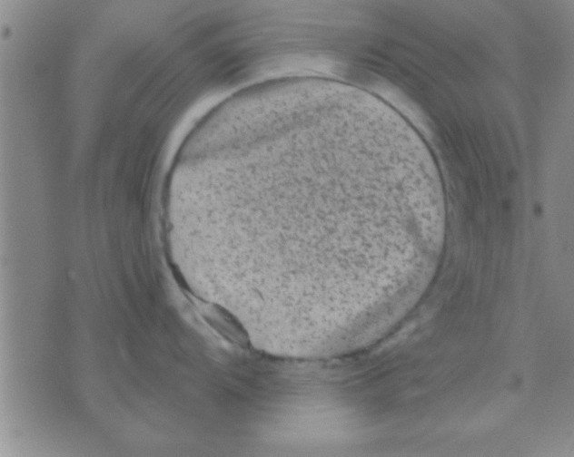 X0000075921104200610151900