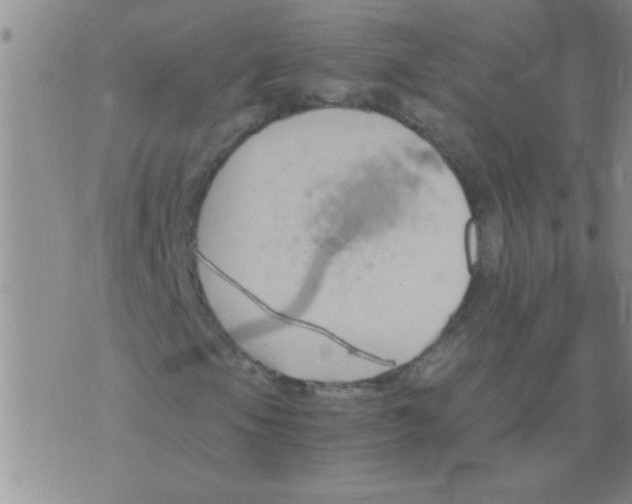 X0000075921105200610151859