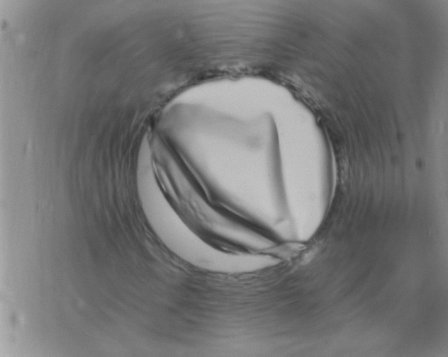 X0000075921106200610151859