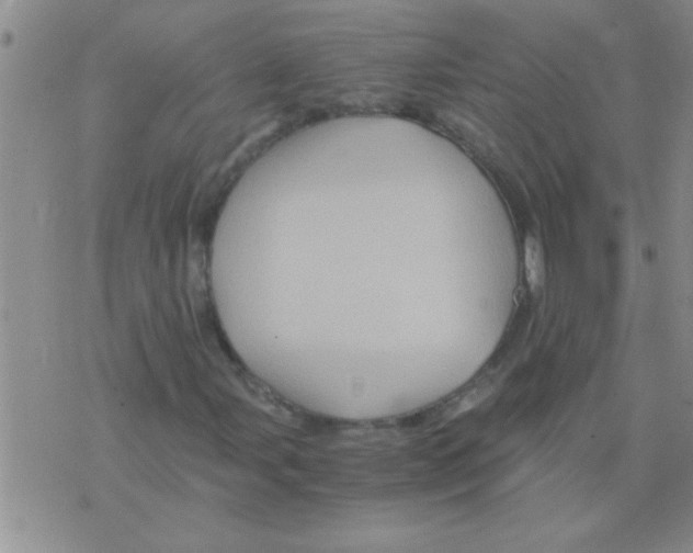 X0000075921107200610151859