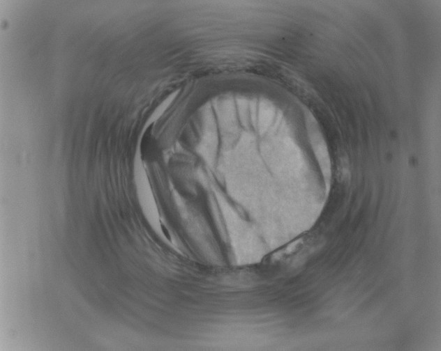 X0000075921108200610151859