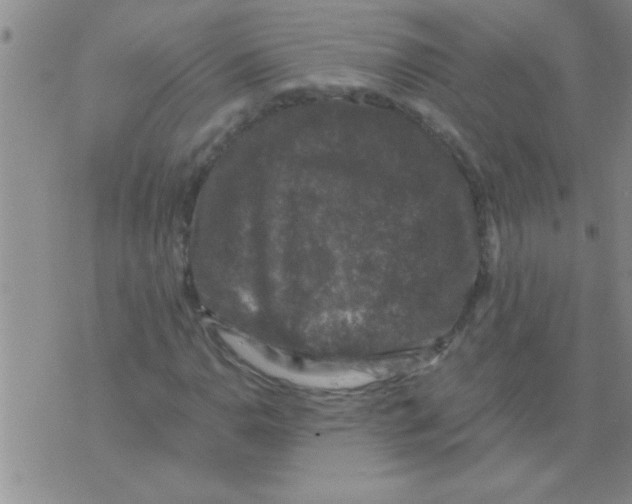 X0000075921110200610151859