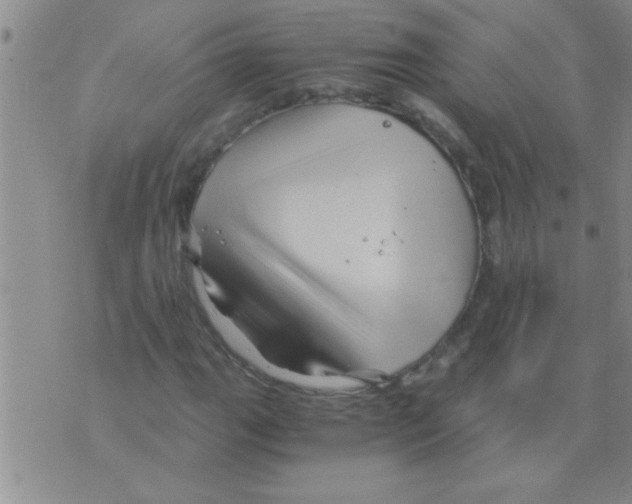 X0000075921111200610151859