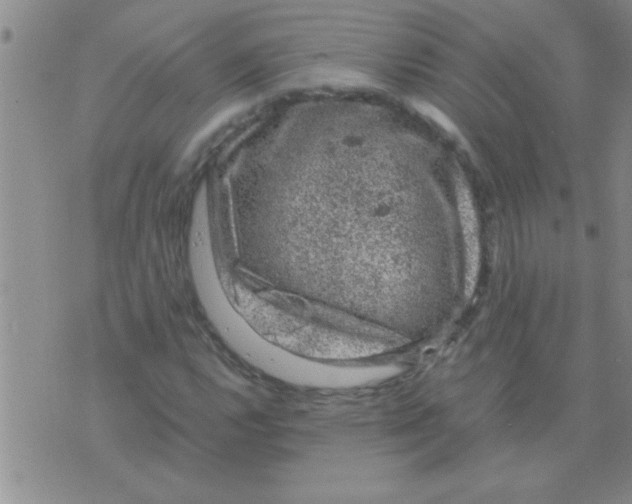 X0000075921112200610151859