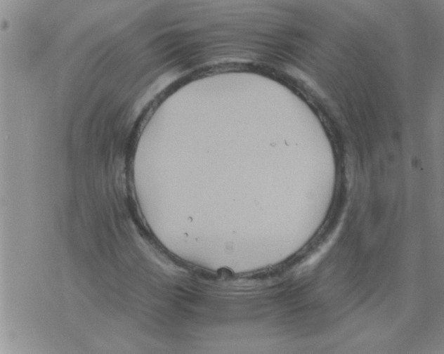 X0000075921113200610151859