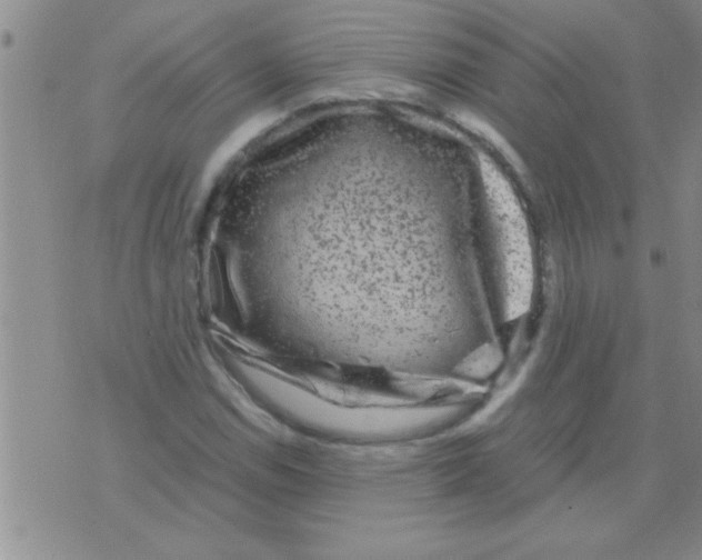 X0000075921114200610151859