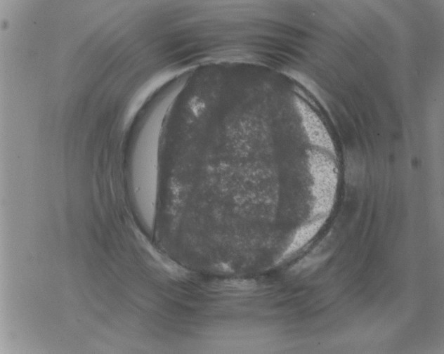 X0000075921115200610151859