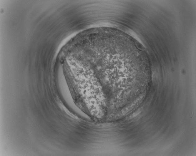 X0000075921116200610151859