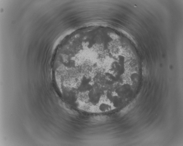 X0000075921117200610151859