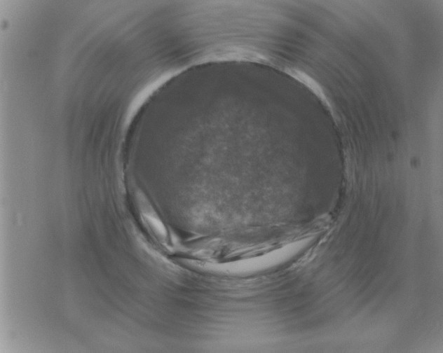 X0000075921120200610151859