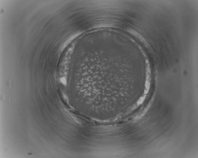 X0000075921121200610151859