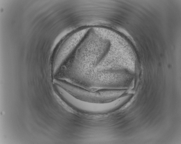 X0000075921122200610151859