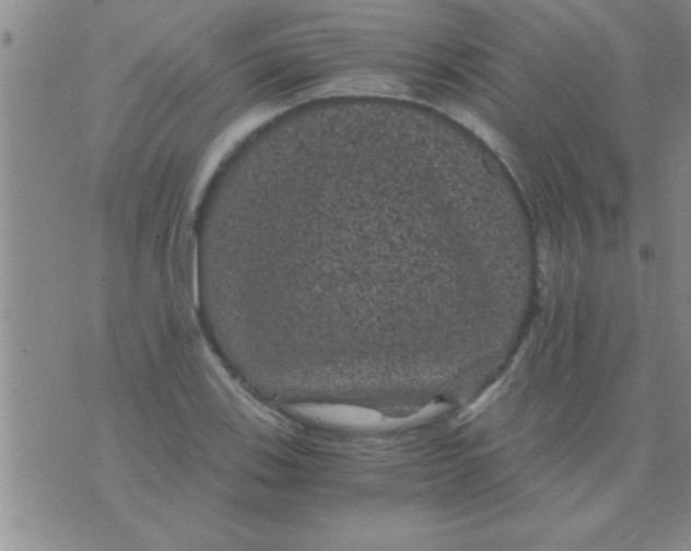 X0000075921123200610151859