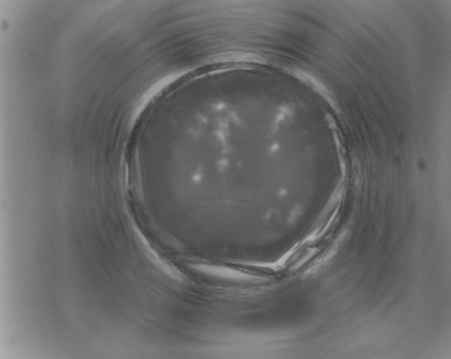 X0000075921125200610151859