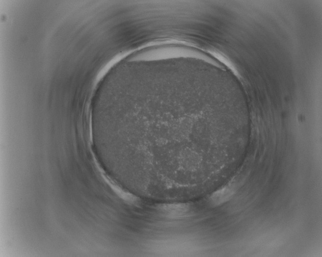 X0000075921127200610151859