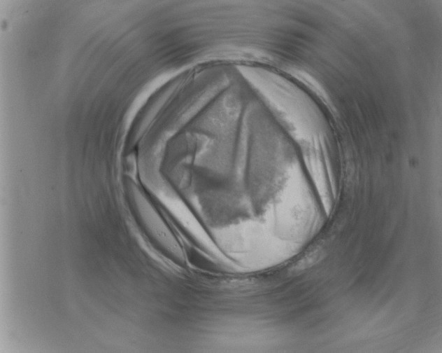 X0000075921128200610151859