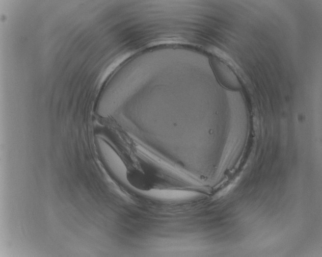 X0000075921129200610151900