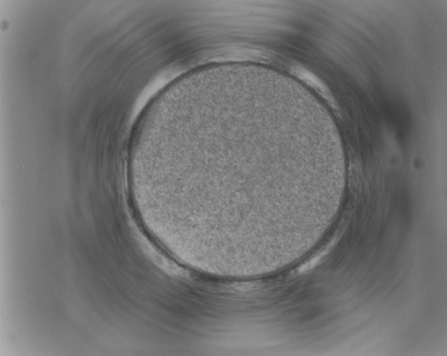 X0000075921130200610151900