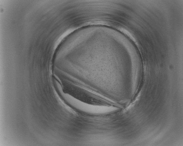 X0000075921133200610151900