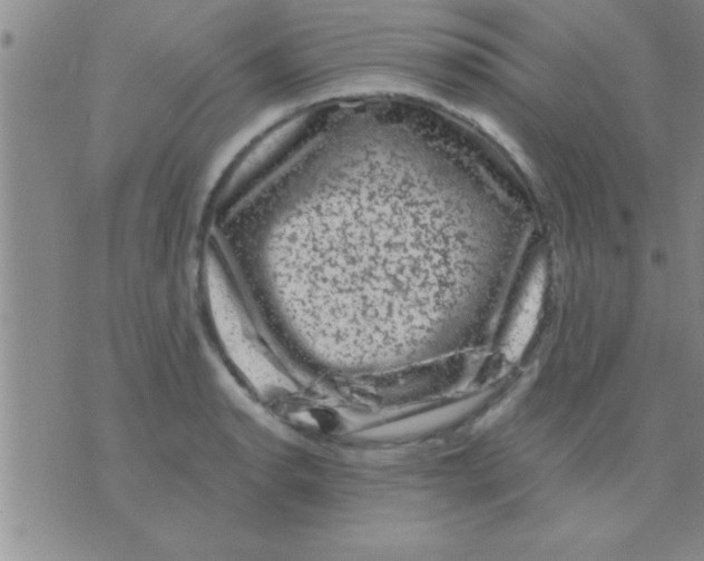 X0000075921134200610151900