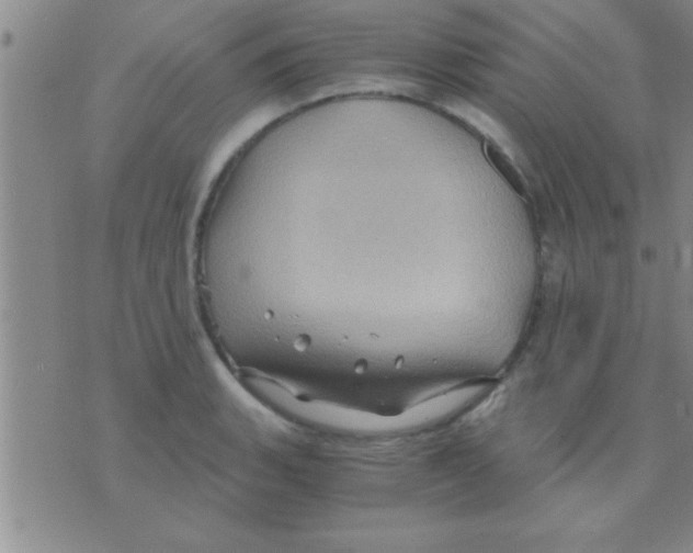 X0000075921135200610151900