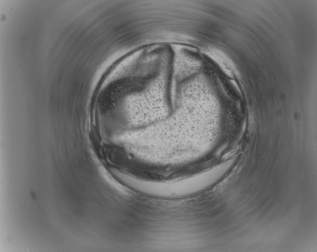 X0000075921136200610151900