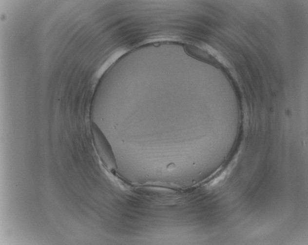 X0000075921137200610151900