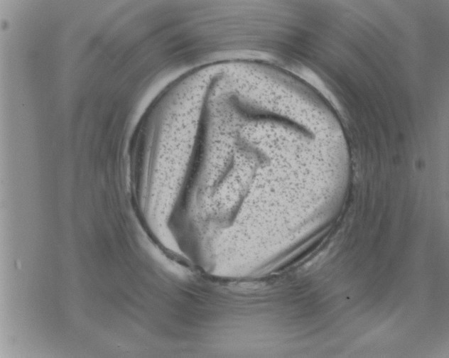 X0000075921140200610151900