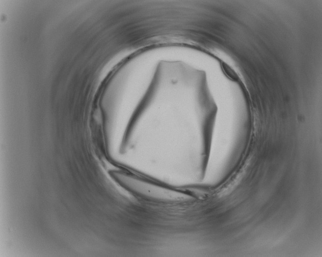 X0000075921141200610151900