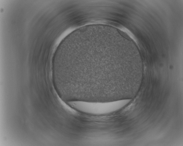 X0000075921143200610151900