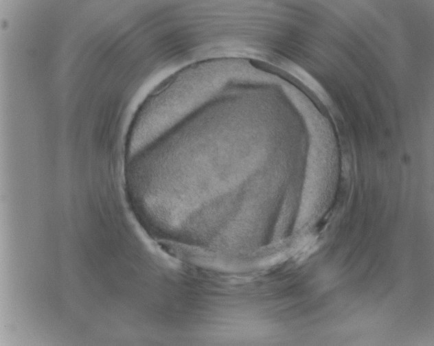 X0000075921144200610151900