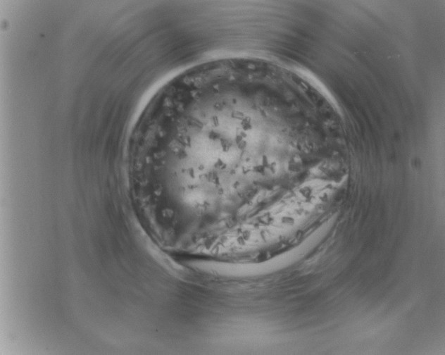 X0000075921148200610151900