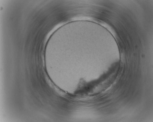 X0000075921150200610151900