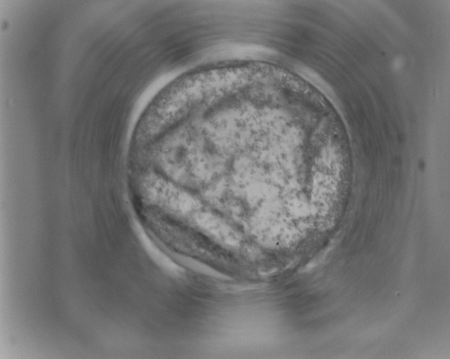 X0000075921152200610151900