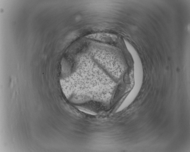 X0000075921153200610151859