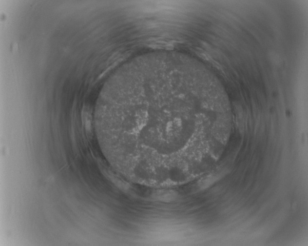 X0000075921154200610151859