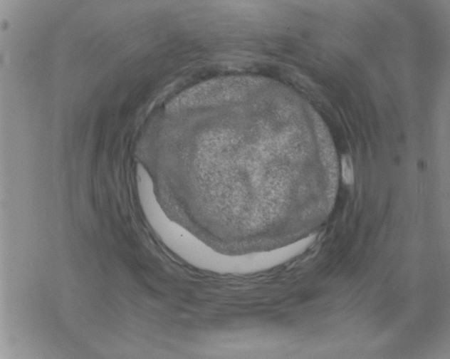 X0000075921155200610151859