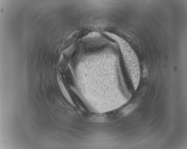 X0000075921156200610151859