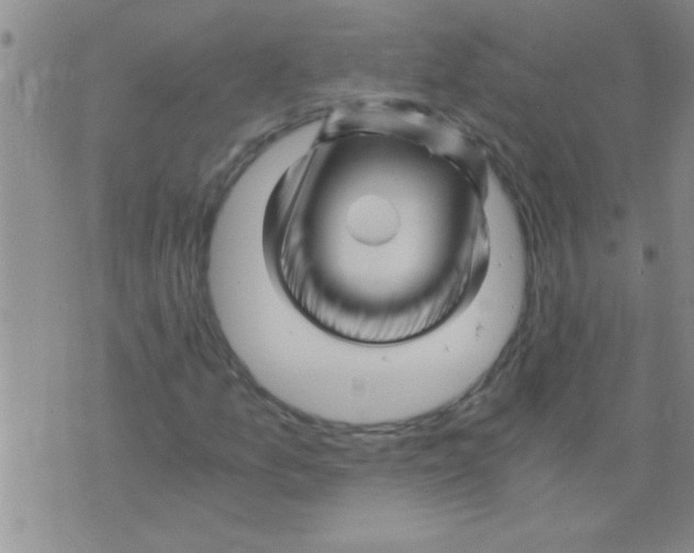 X0000075921157200610151859