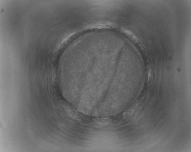 X0000075921158200610151859