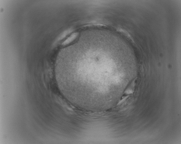 X0000075921159200610151859