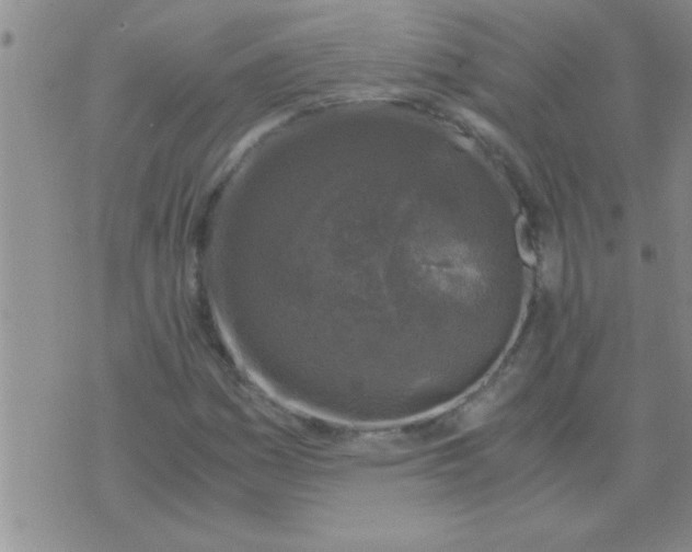 X0000075921161200610151859