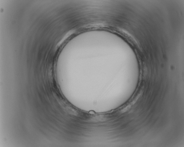 X0000075921162200610151859