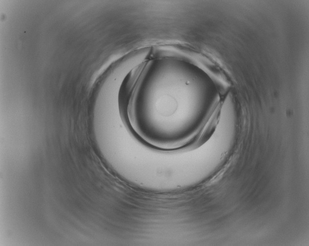 X0000075921165200610151859